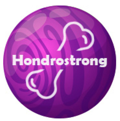 Hondrostrong - krém na klouby Hondrostrong - krém na klouby