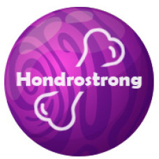 Hondrostrong - prostředek na klouby